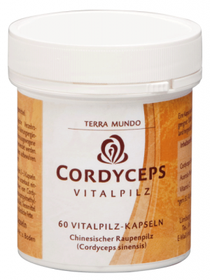 Cordyceps-Vitalpilzkapseln